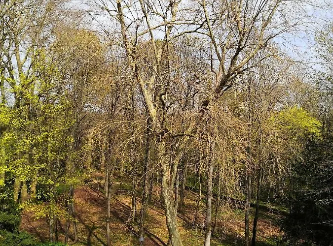 Chambre D\'Hote Au Parc Des Thibaudieres